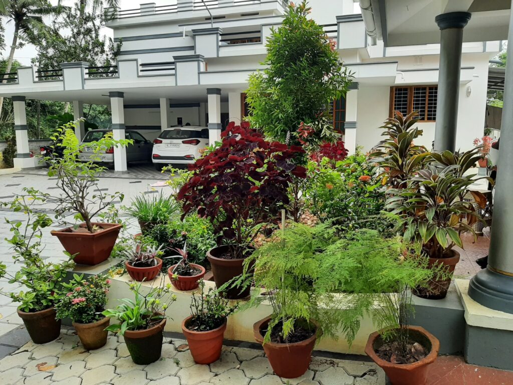 Counselling Campus